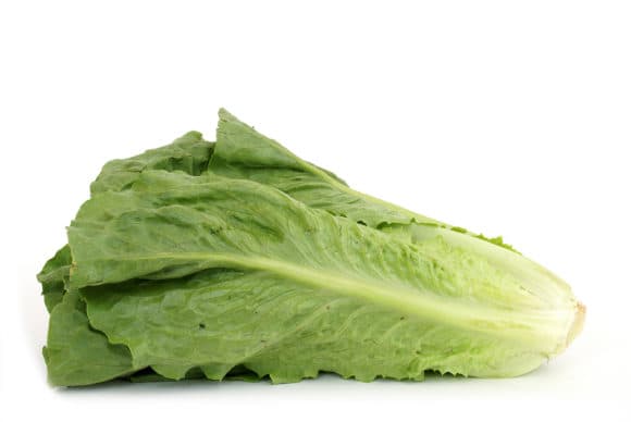 Company at Center of Cyclospora Outbreak Complained to White House, Source Says