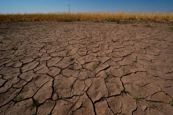 Powerful El Niño Nears Record Strength, US Forecasters Say